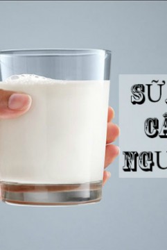 Mua sữa tăng cân ở đâu HCM uy tín - chất lượng - giá rẻ
